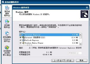 解决Windows XP系统缺失Internet信息服务(IIS)的指南